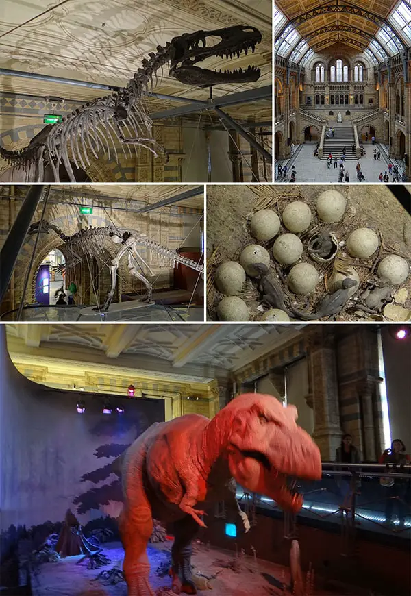 one day in london - museum natural history