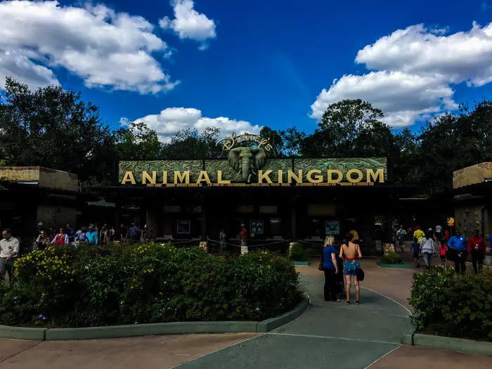 10 reasons you should go to Walt Disney World in Orlando and not to