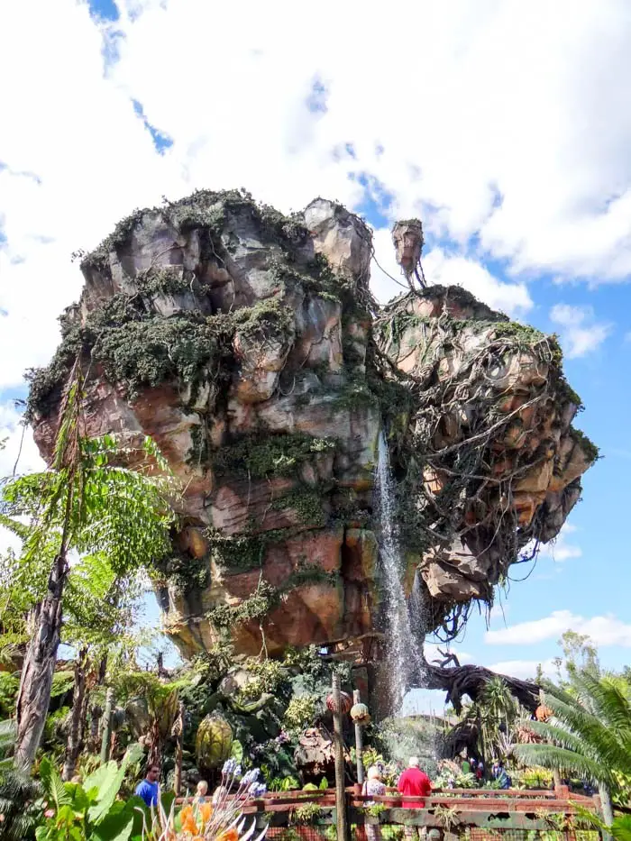 Disney's Animal Kingdom Pandora