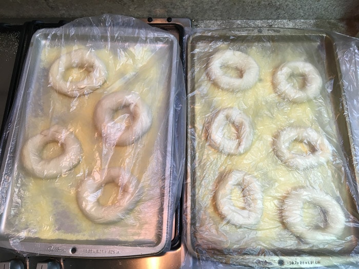 Shaped bagels in baking pans covered in plastic