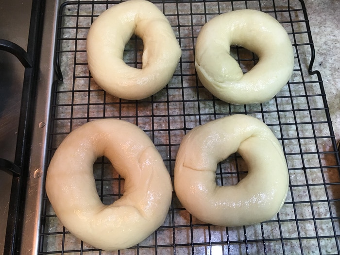 Homemade Bagels after boiled - on a wired rack to cool and dry
