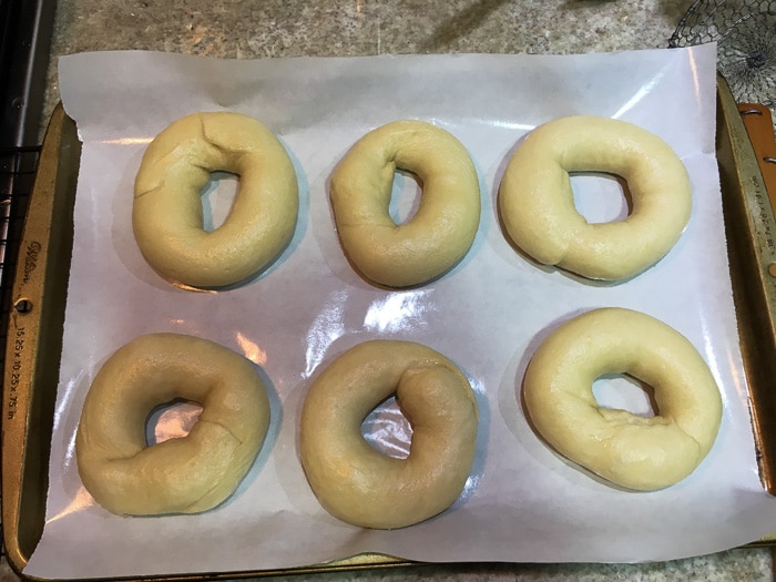 Boiled bagels in baking tray lined with waxed paper