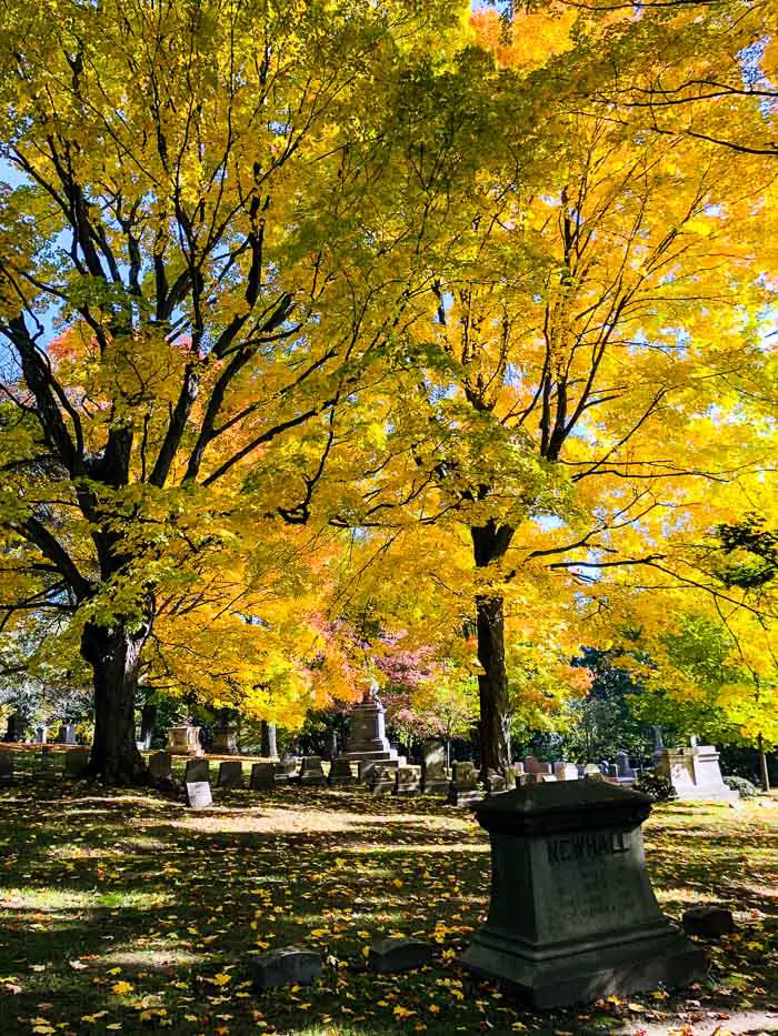 Mount Auburn Cemetery - Cambridge