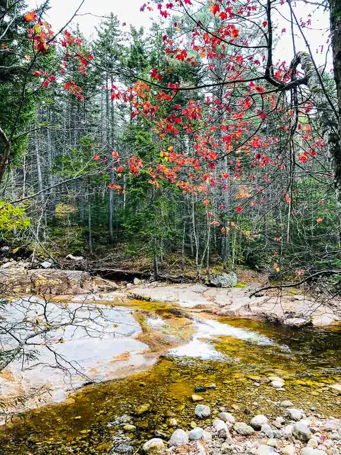 Kancamagus Highway during fall