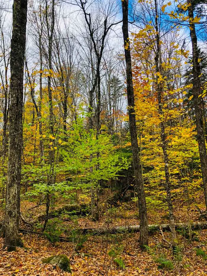 Kancamagus Highway during fall