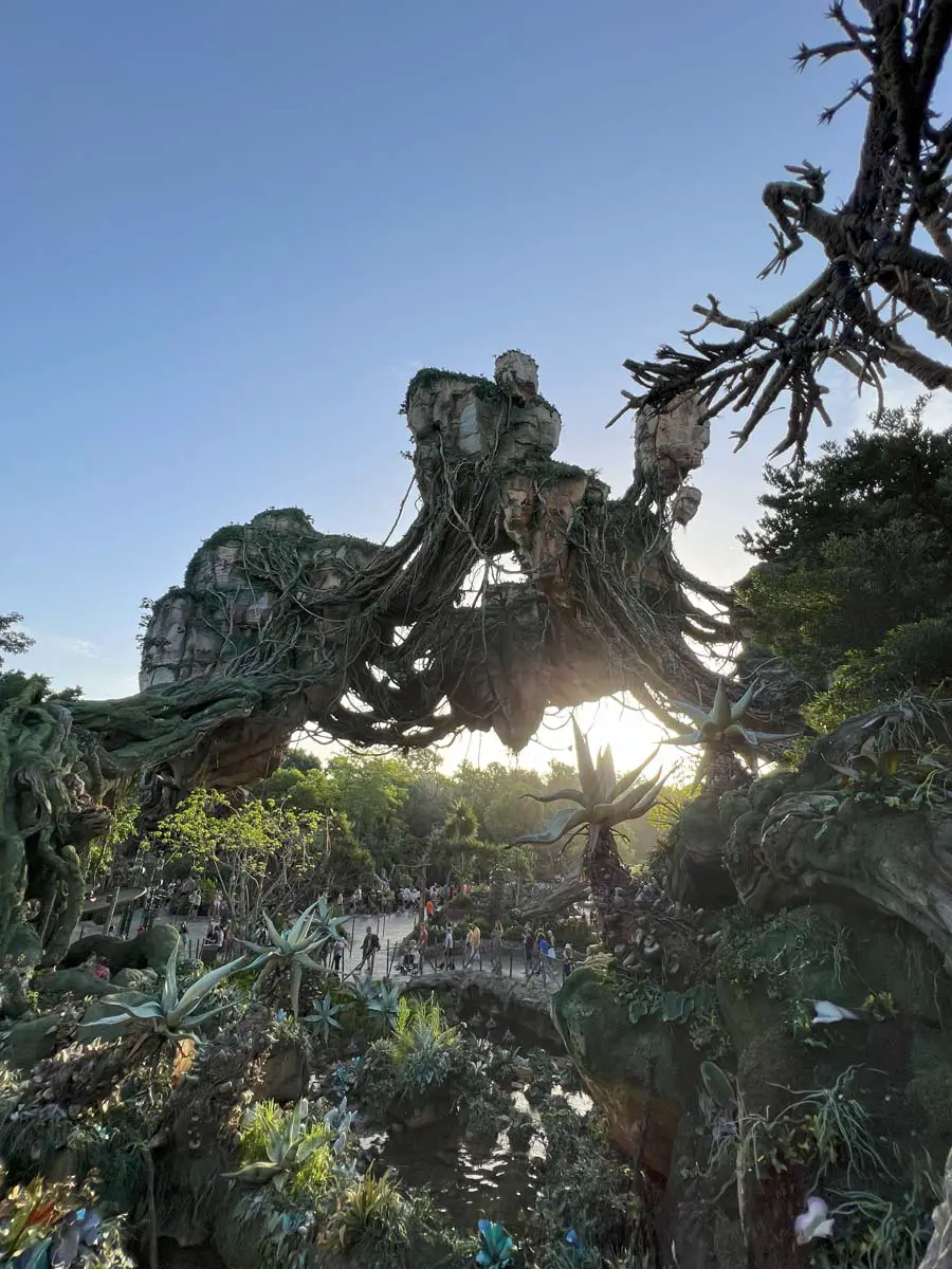 Pandora the World of Avatar - Four Disney Parks in One Day: The Ultimate Disney Day
